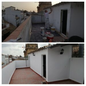 antes-despues-pinsecor